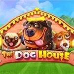 the_dog_house_